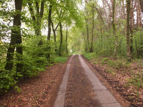 So sieht es hier aus