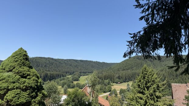 Blick vom Hof/ Himmelsliege ins Nagoldtal