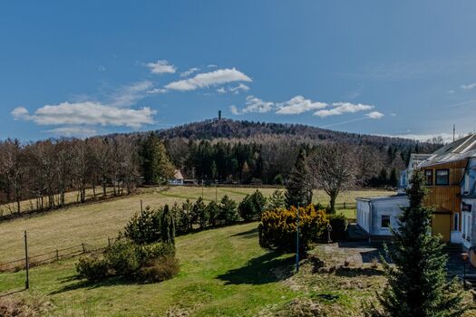 Blick vom Wohnzimmer und vom Schlafzimmer zum Hochwald