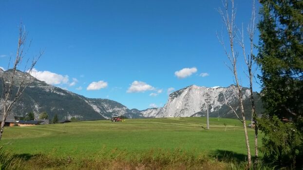 Sommerliche Ausblicke