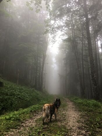 Unzählige Wandermöglichkeiten ab Haustür