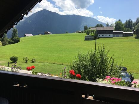 Blick auf die hauseigene Gassiwiese im vorderen Bereich vom Süd-Westbalkon  
