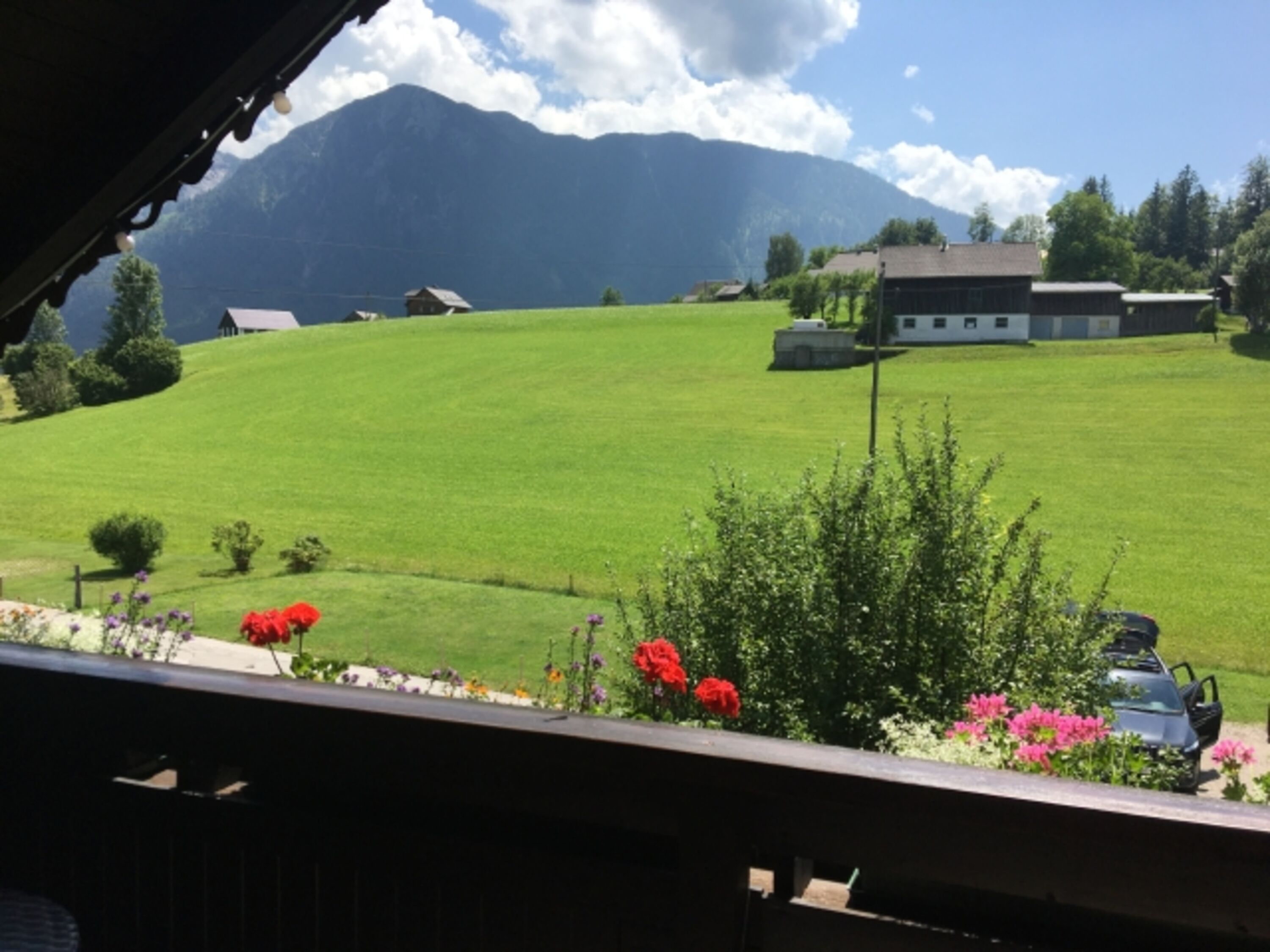Blick auf die hauseigene Gassiwiese im vorderen Bereich vom Süd-Westbalkon 