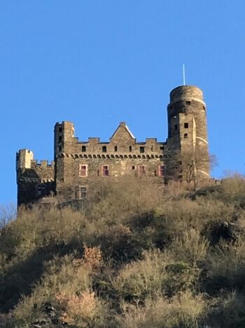 Gartenblick auf Burg Maus