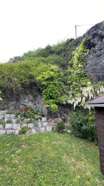 komplett eingezäunter Garten 