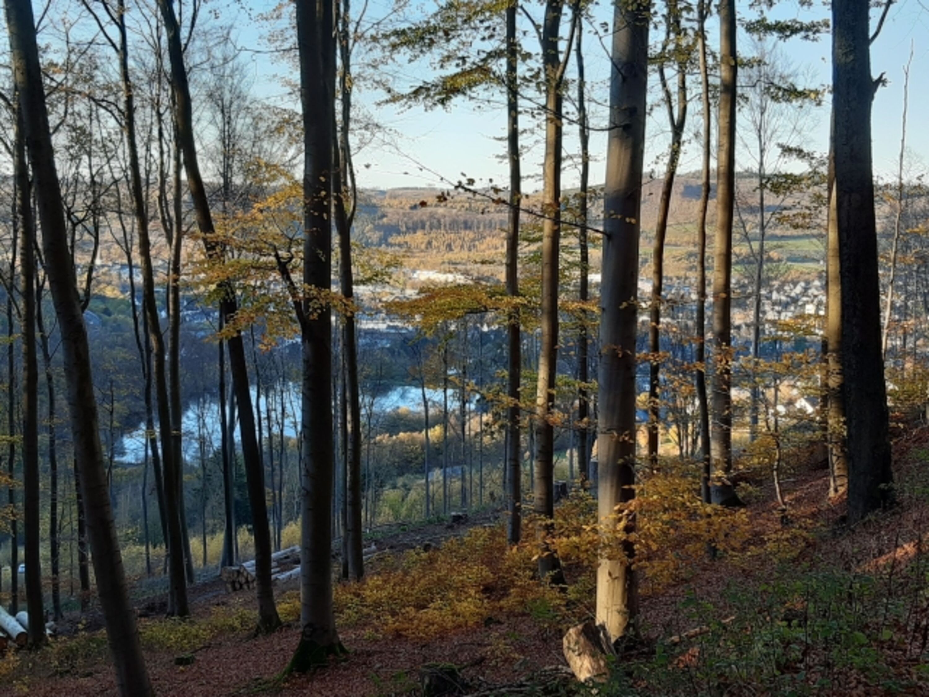 Wandern