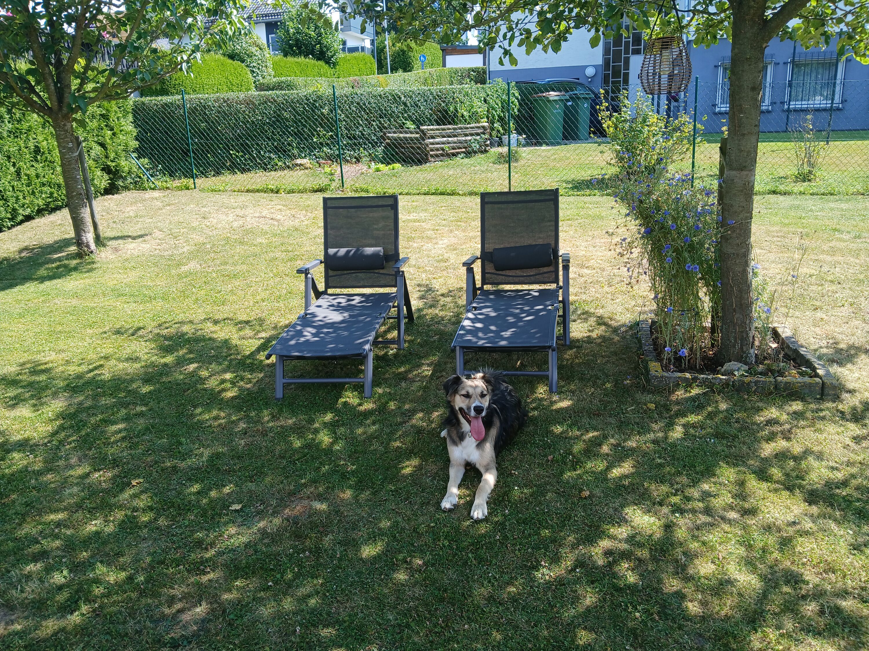 Eingezäunter Garten