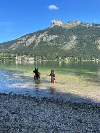 Auch die Kinder kommen bei uns am See auf ihre Kosten