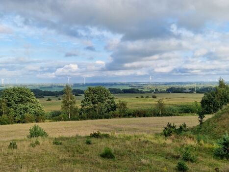 Aussicht bei einem Spaziergang auf den Bullenberg