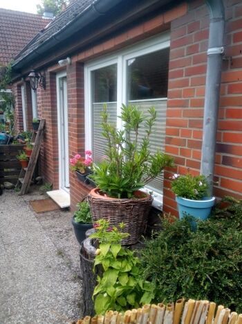 Ausgang zur Terrasse