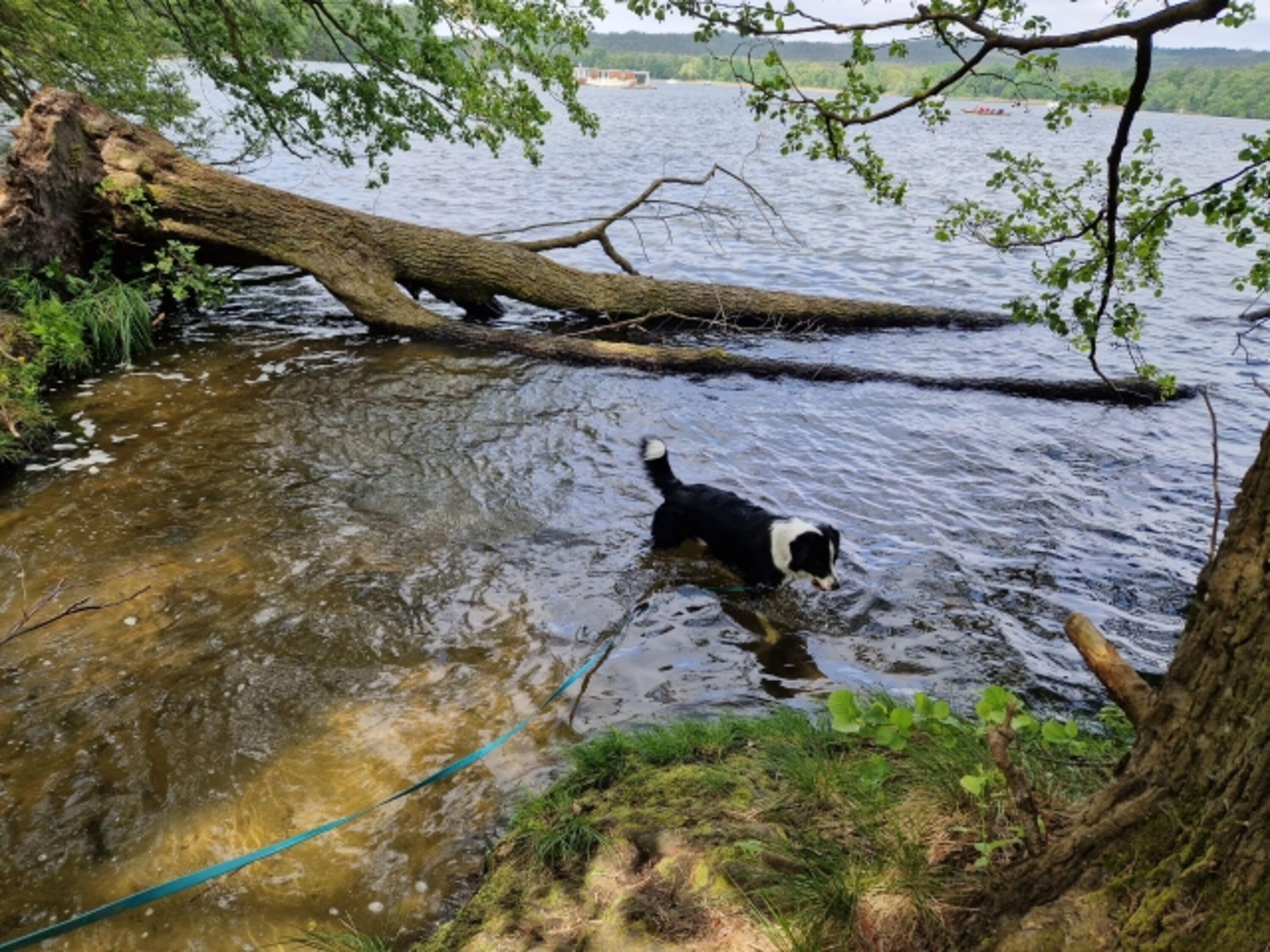 Baden im See