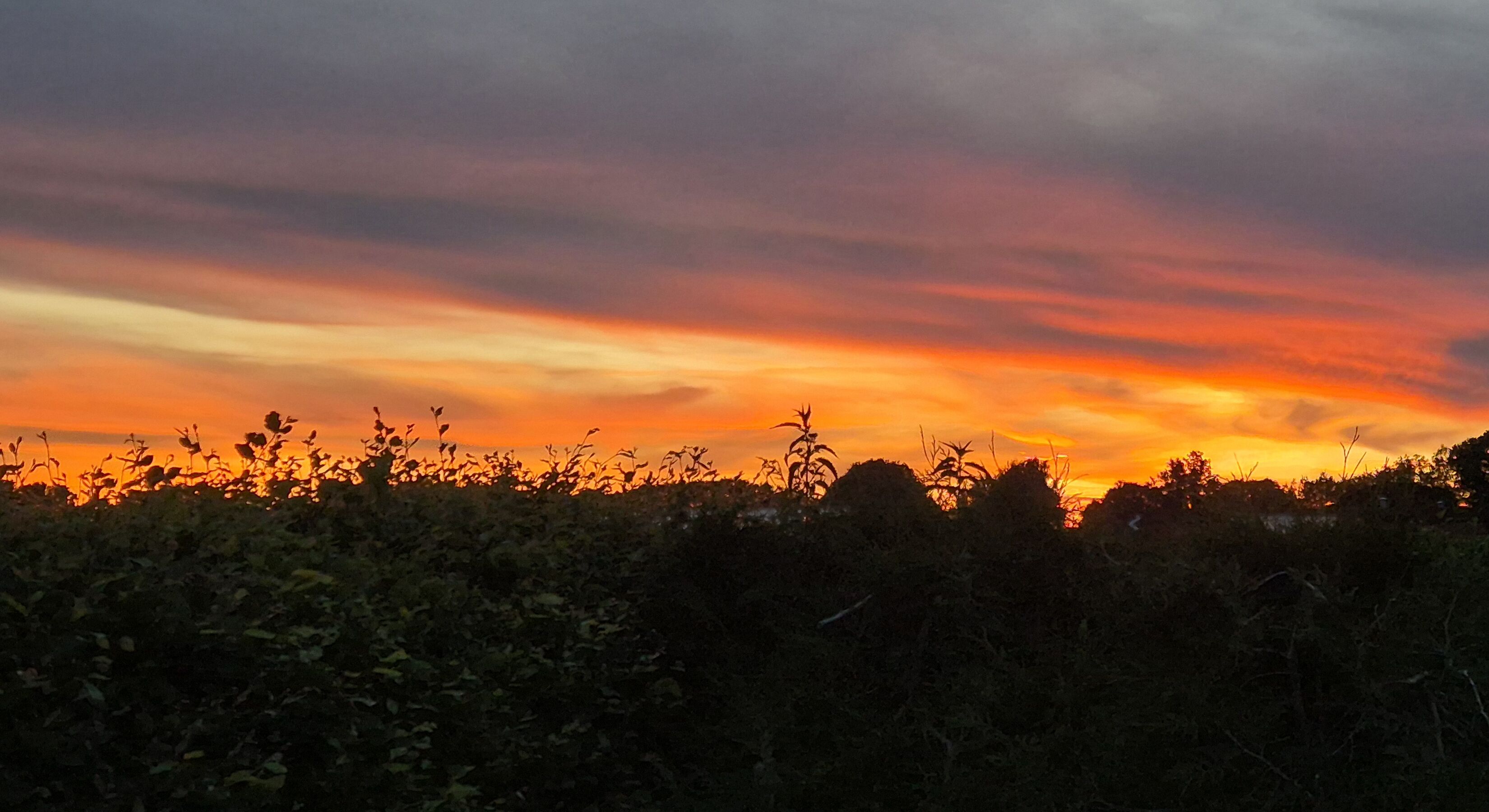 Sonnenuntergang
