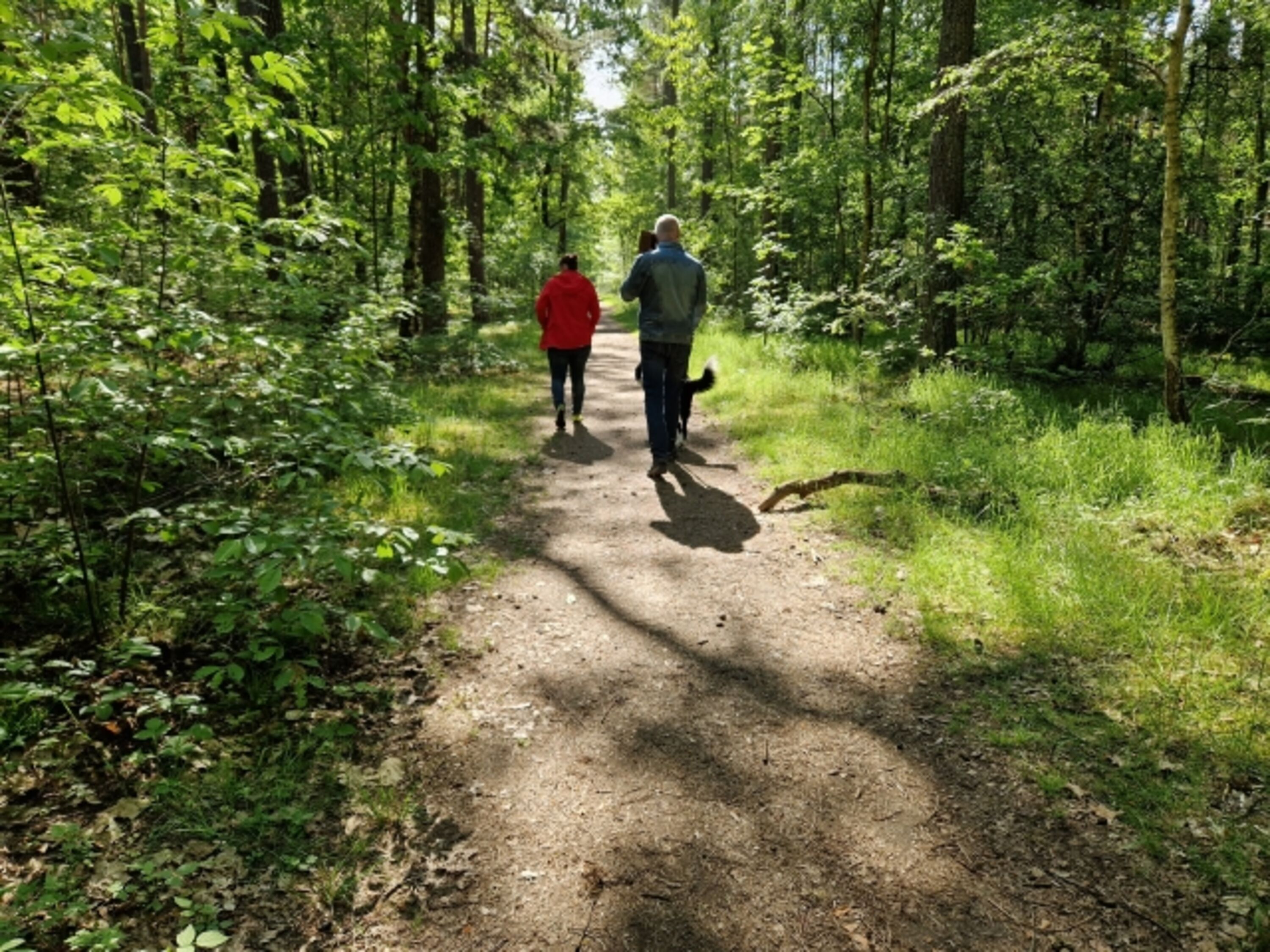 Spaziergang durch den nahegelegenen Wald