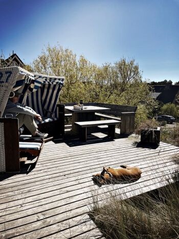 TIDE4 Ferienwohnung Amrum Sonnendeck im Garten mit Strandkorb
