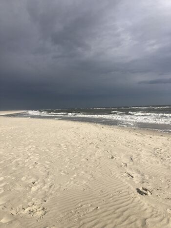 TIDE4 Ferienwohnung Amrum Strand