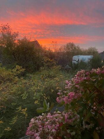 TIDE4 Ferienwohnung Amrum Aussenbereich