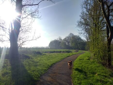Viele Wege laden zum Spaziergang ein
