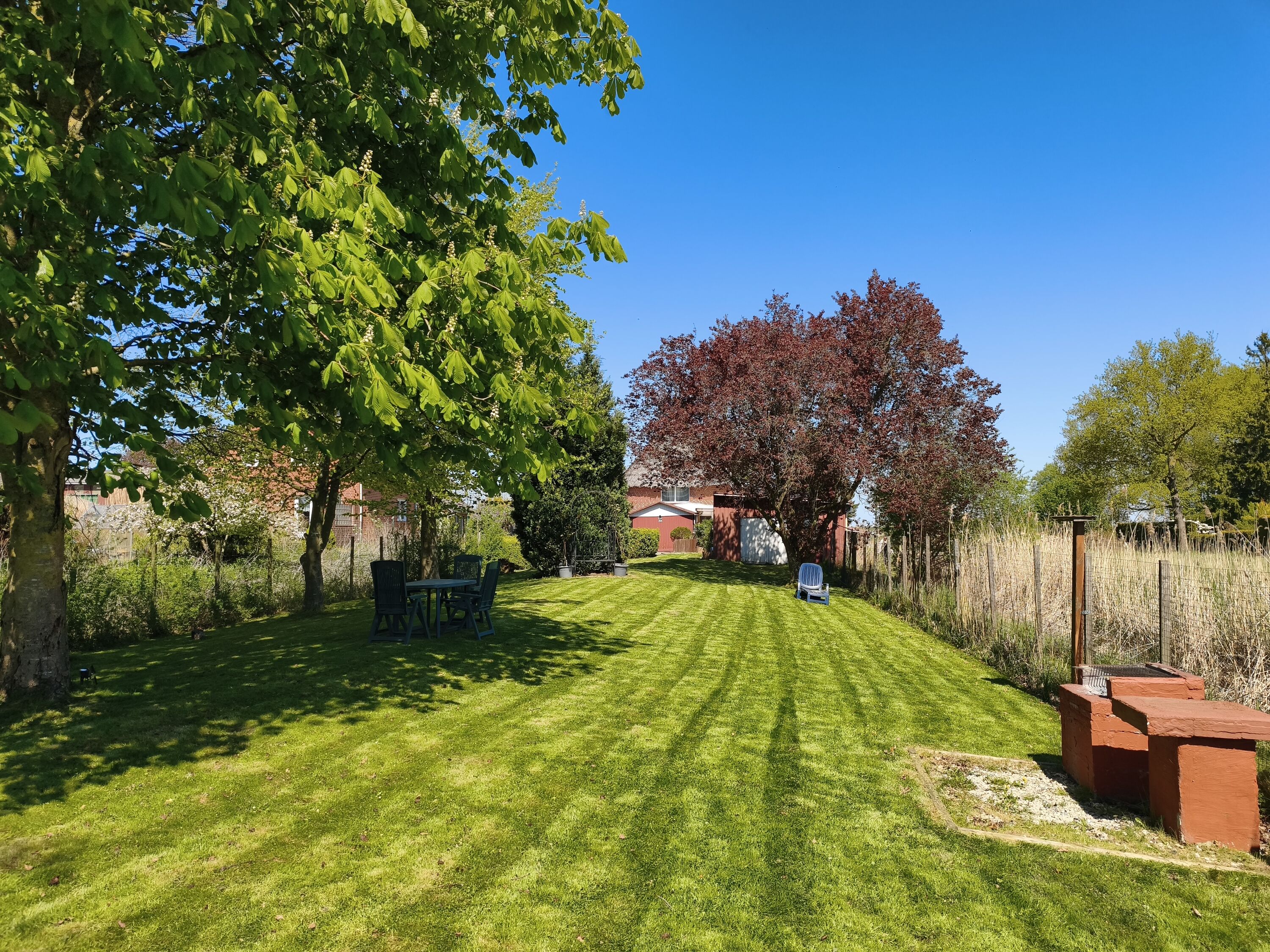 Blick in den voll eingezäunten Garten