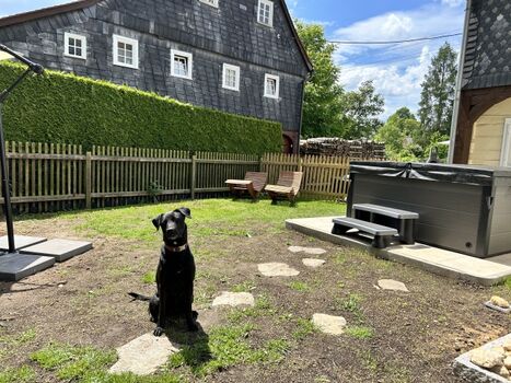 Garten, hier sind Hunde willkommen, komplett umzäunt