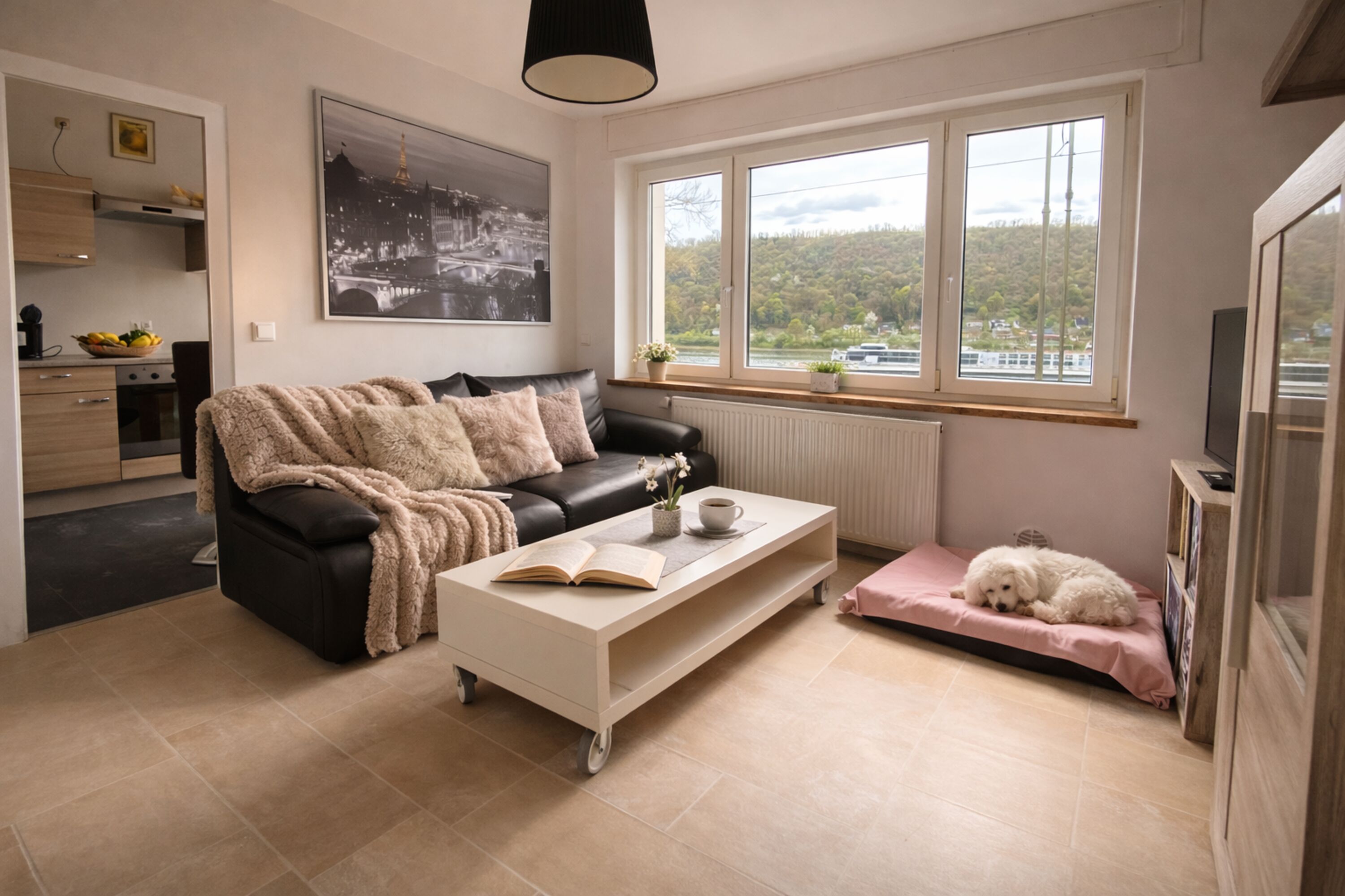 Wohnzimmer mit Rheinblick