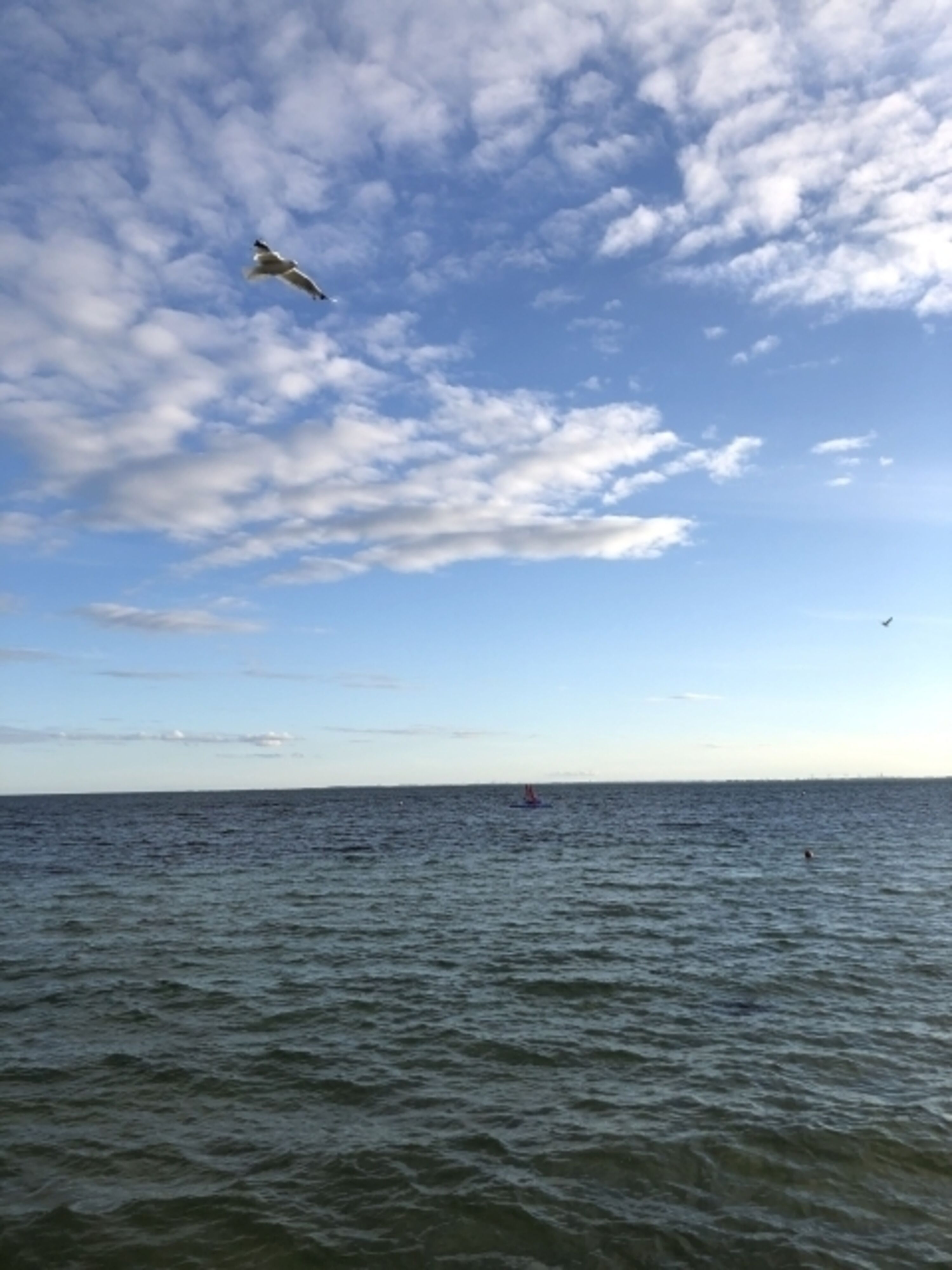 Bild 16