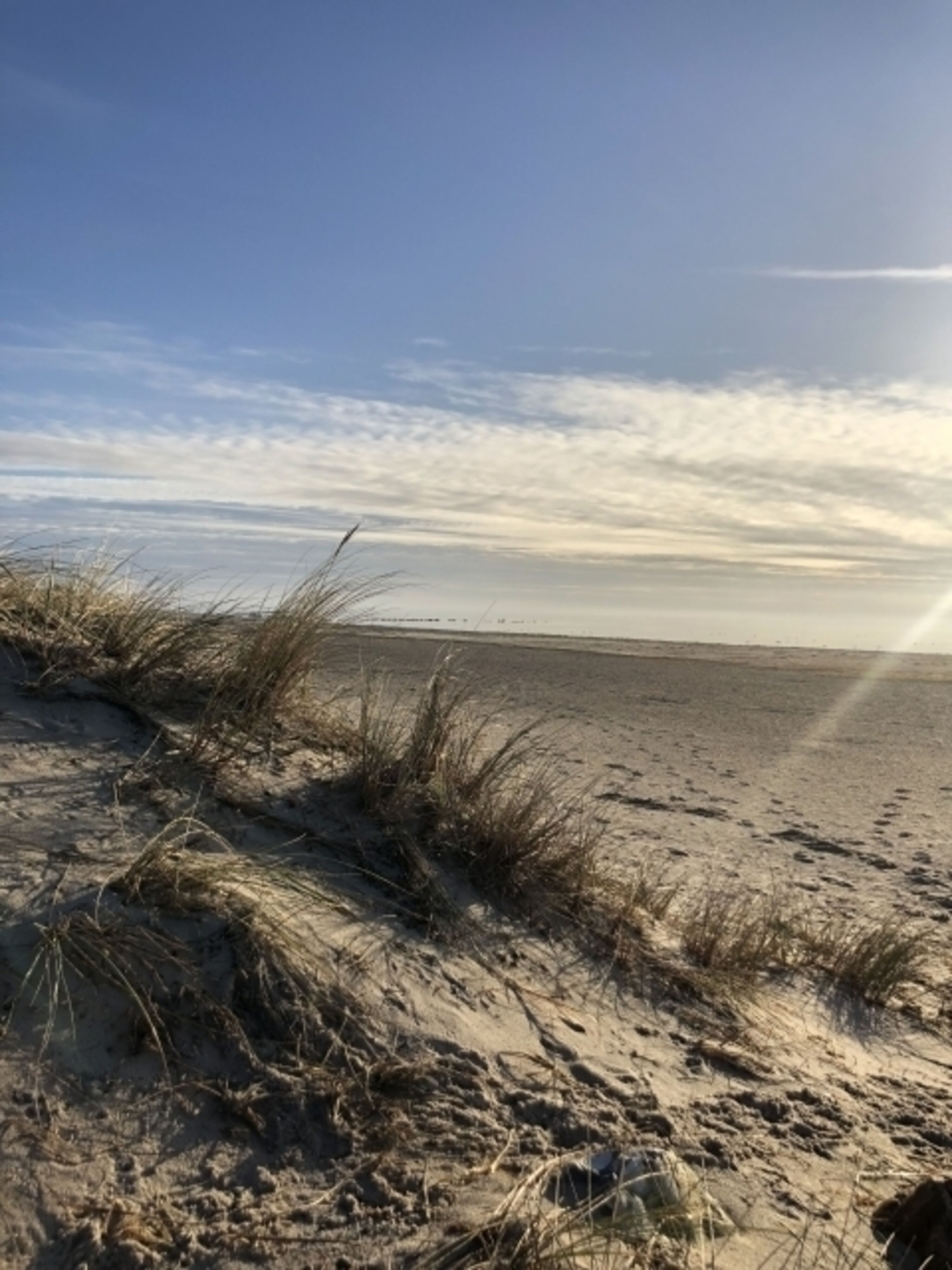 Bild 19