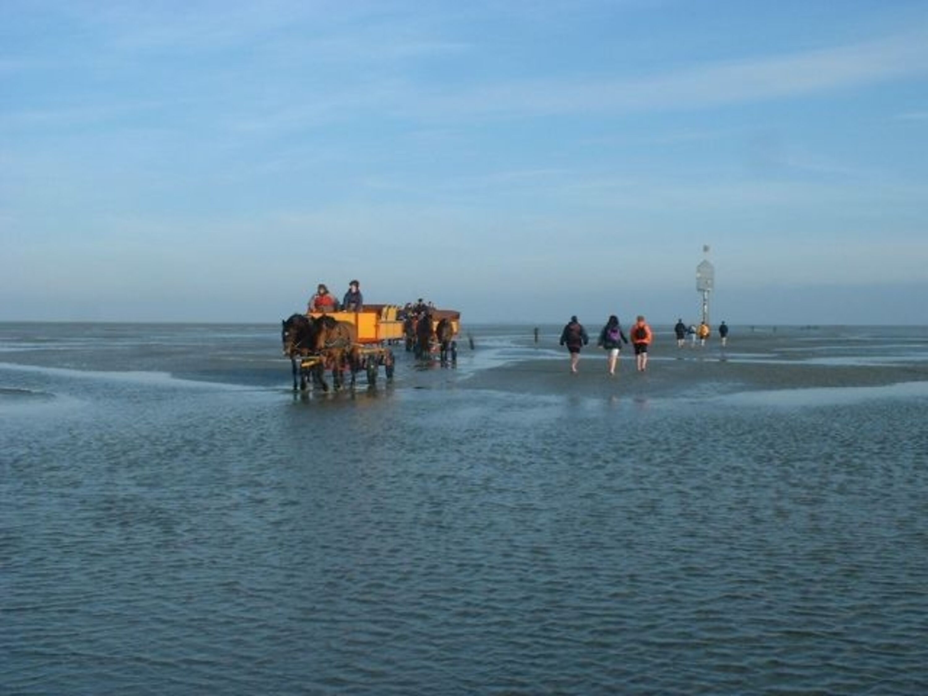 Romantische Fahrt mit dem Wattwagen oder zu Fuß zur Insel Neuwerk