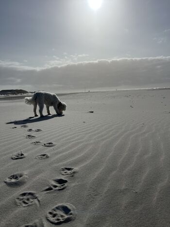 TIDE4 Amrum Kniepsand