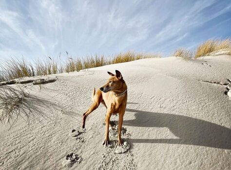 TIDE4 Amrum Strand Wittdün 1