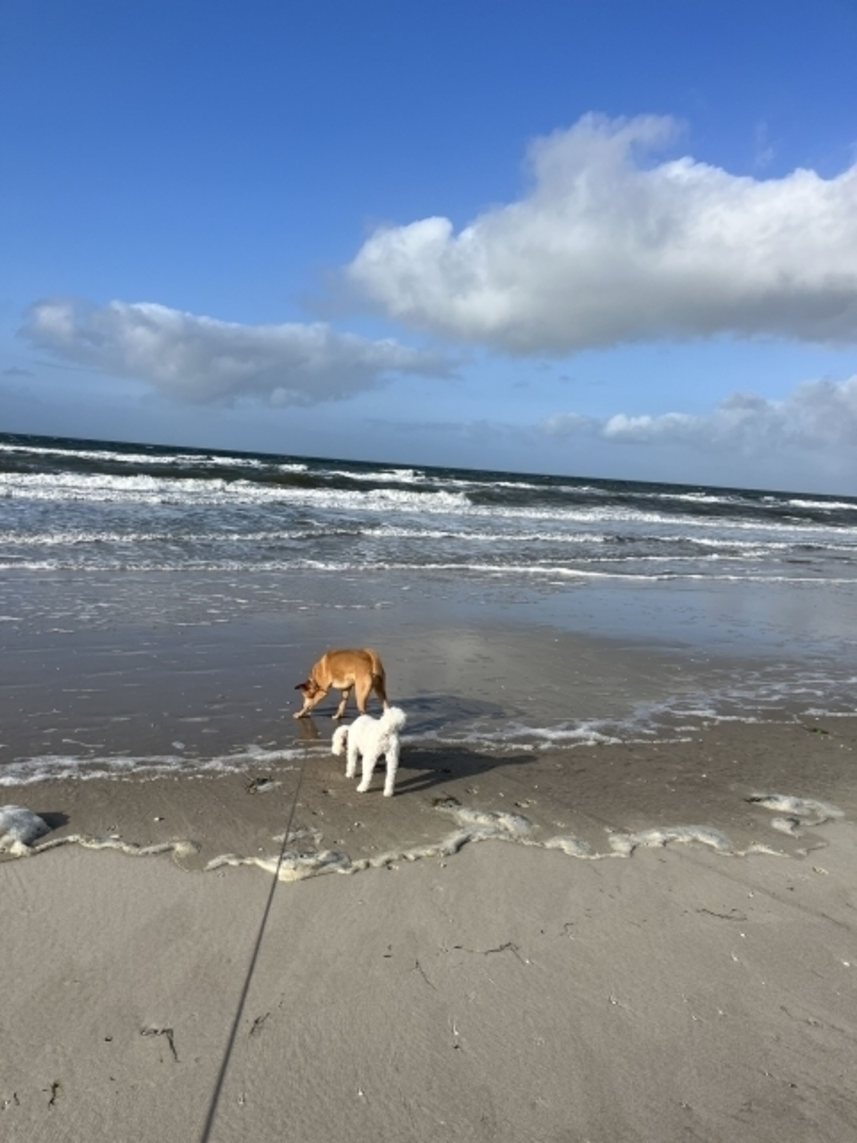 TIDE4 Amrum Kniepsand 1