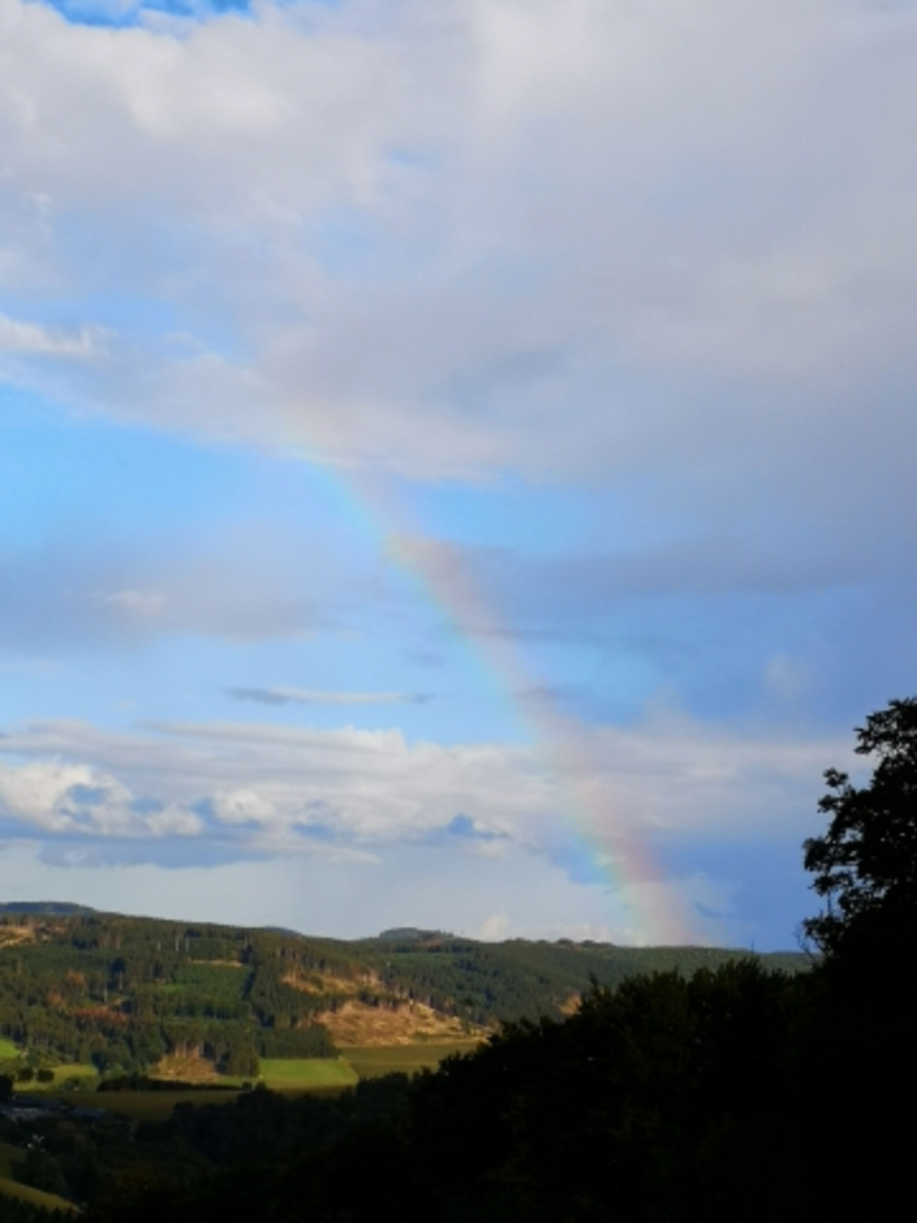 Bild 19