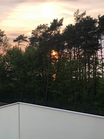 Sicht von dem Balkon 