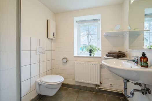 Das Badezimmer ist klein und funktional (Dusche, WC, Fön)