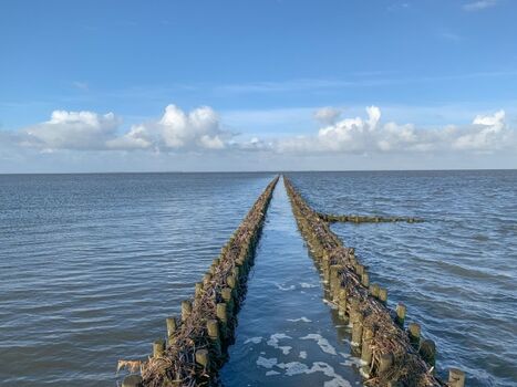 Die Nordsee ist nicht weit entfernt!