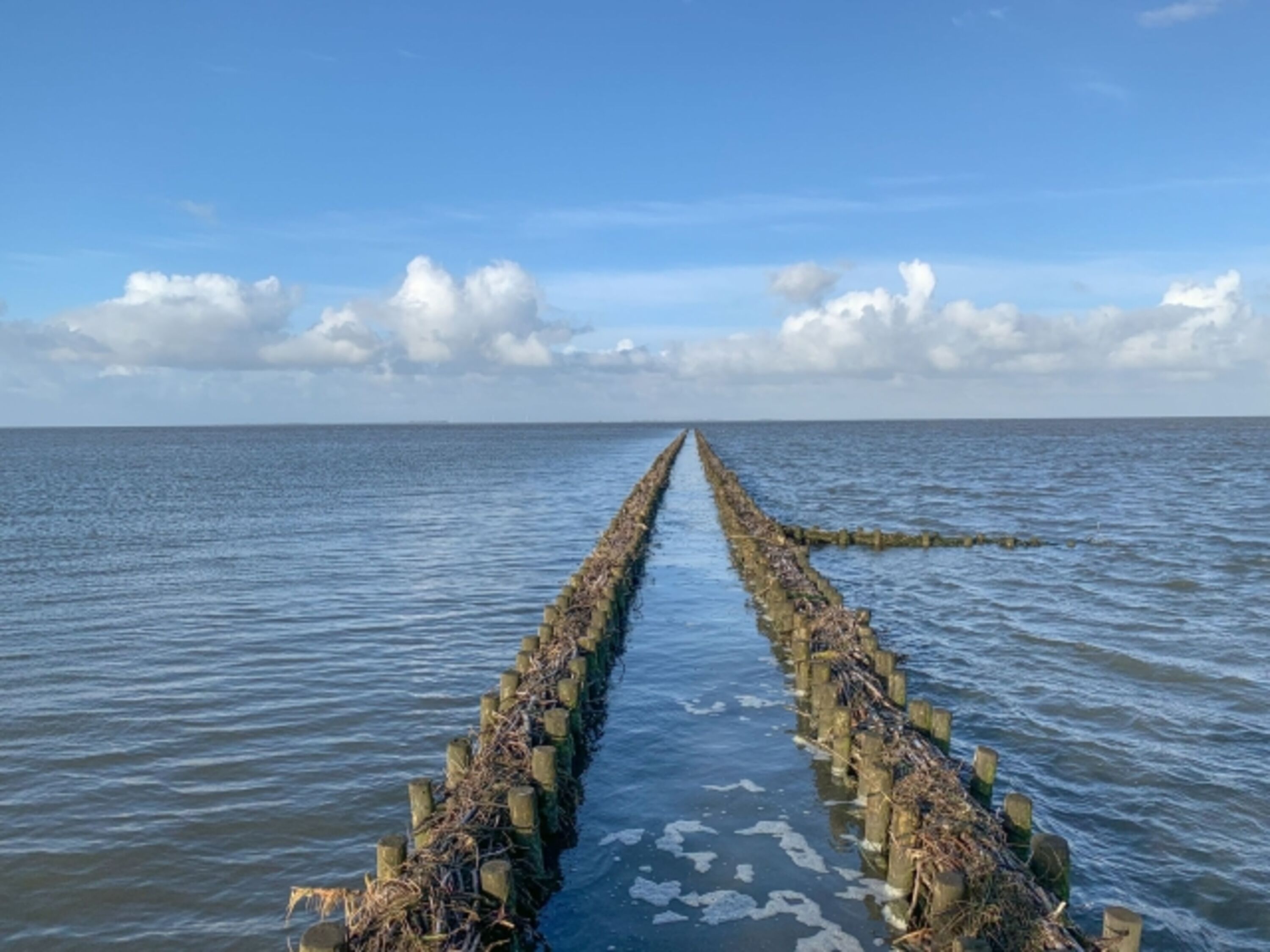 Die Nordsee ist nicht weit entfernt!