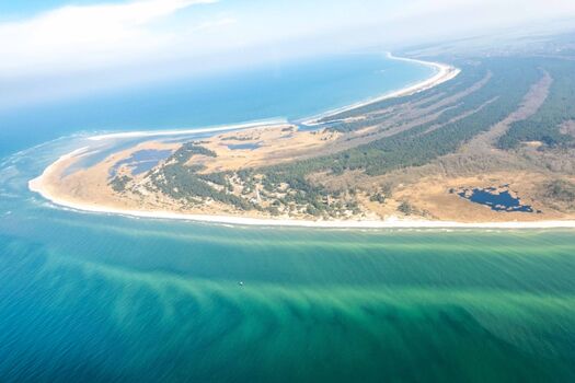 Der Pramort von oben