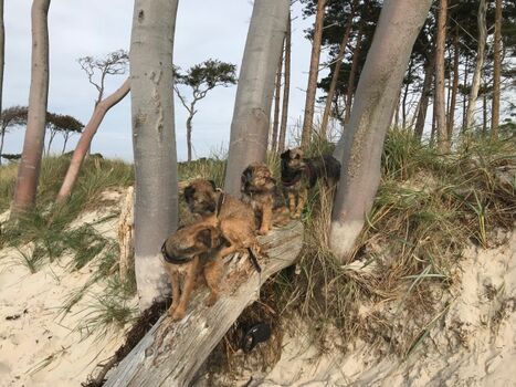 Die Kinder am Weststrand
