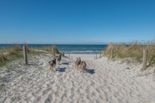 Die Kinder hatten Spaß