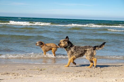 Wasserspielplatz auf dem Darß