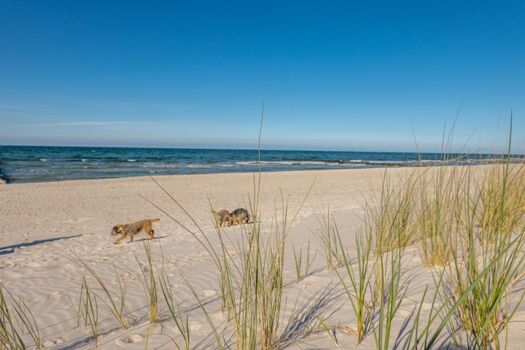 Man hält's kaum aus! 