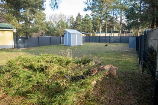 Garten, Garten und noch mehr Garten