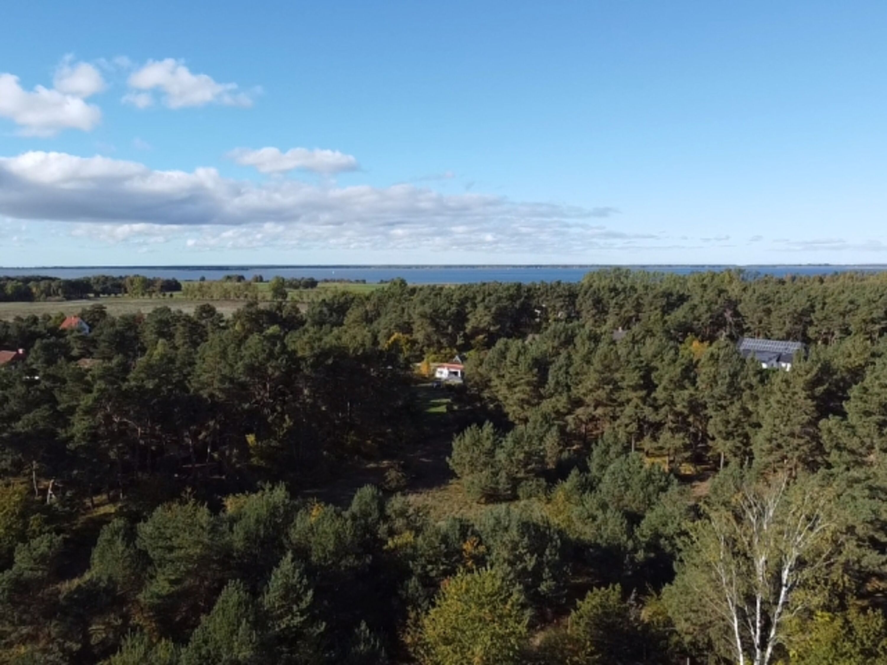 Blick in die Natur, bis zu den Boddengewässern