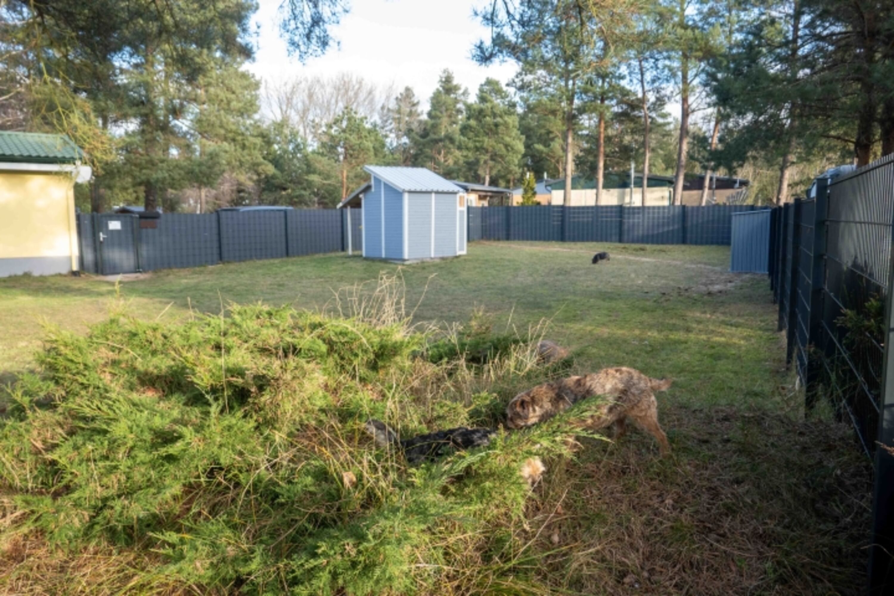 Garten, Garten und noch mehr Garten