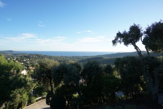 traumhafter Meerblick