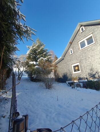 Teil vom Garten, 1,60m hoch eingezaunt