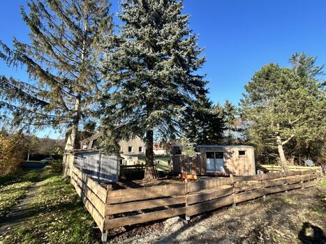 Blick aufs Grundstück