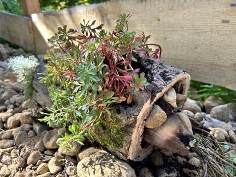 außergewöhnliche Außendeko - entdeckt unser Cottage
