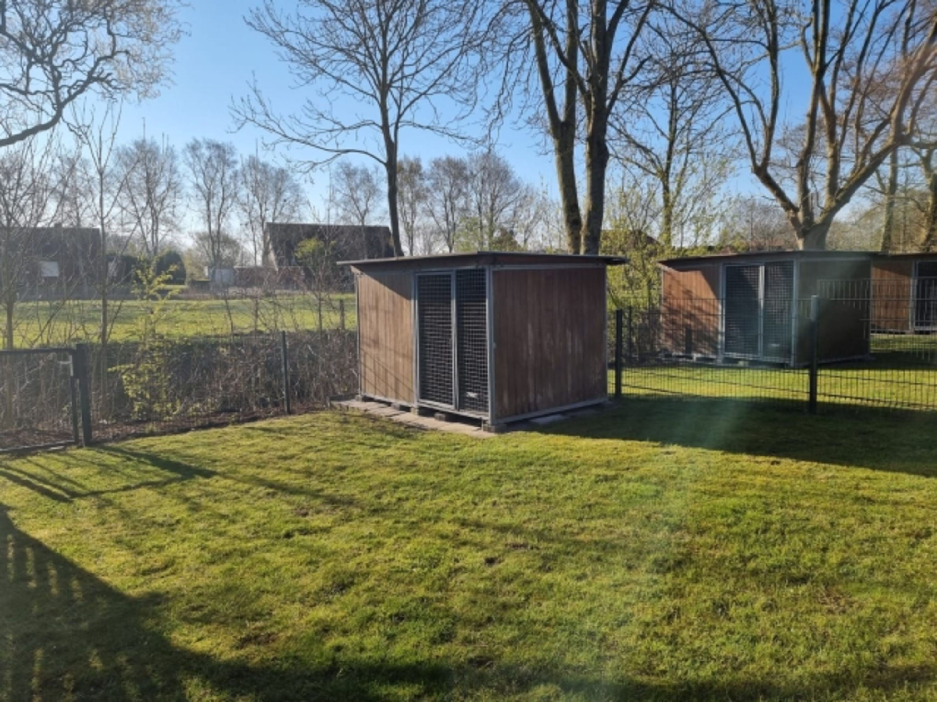 Bild 19