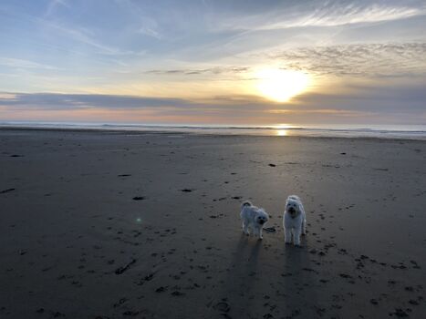 ...und die schönsten Sonnenuntergänge...