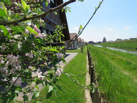 Hanse an der Wettern